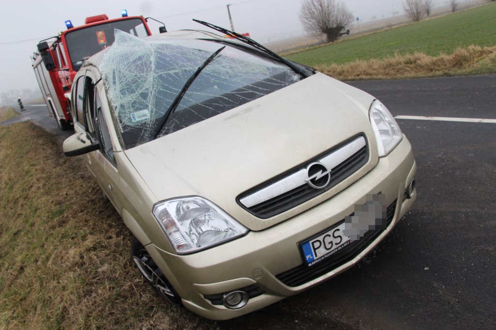 Zdarzenie drogowe na trasie Wilkonice-Dłoń