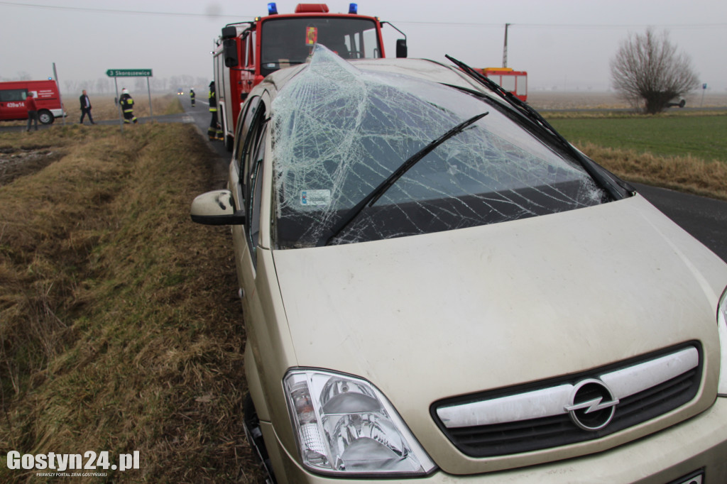 Zdarzenie drogowe na trasie Wilkonice-Dłoń