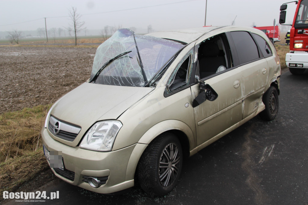 Zdarzenie drogowe na trasie Wilkonice-Dłoń