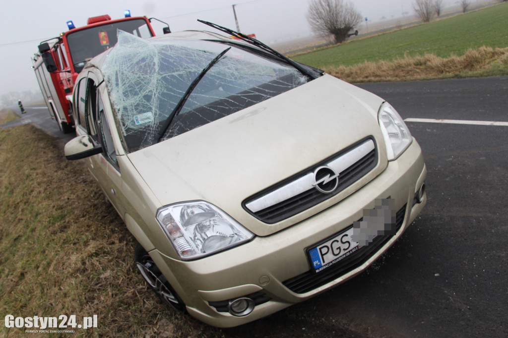 Zdarzenie drogowe na trasie Wilkonice-Dłoń