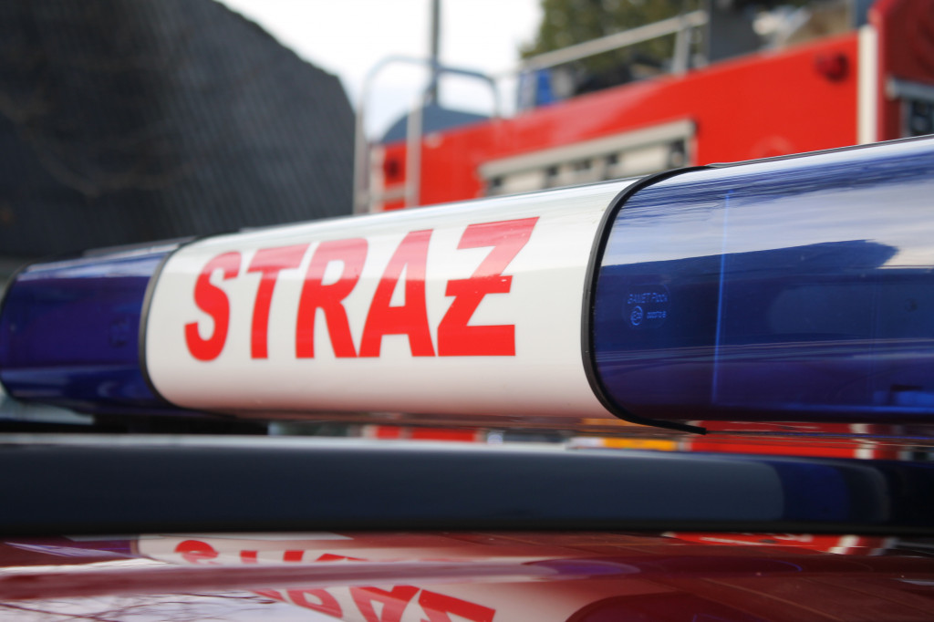 Młodzież zapobiega pożarom w Borku Wlkp.