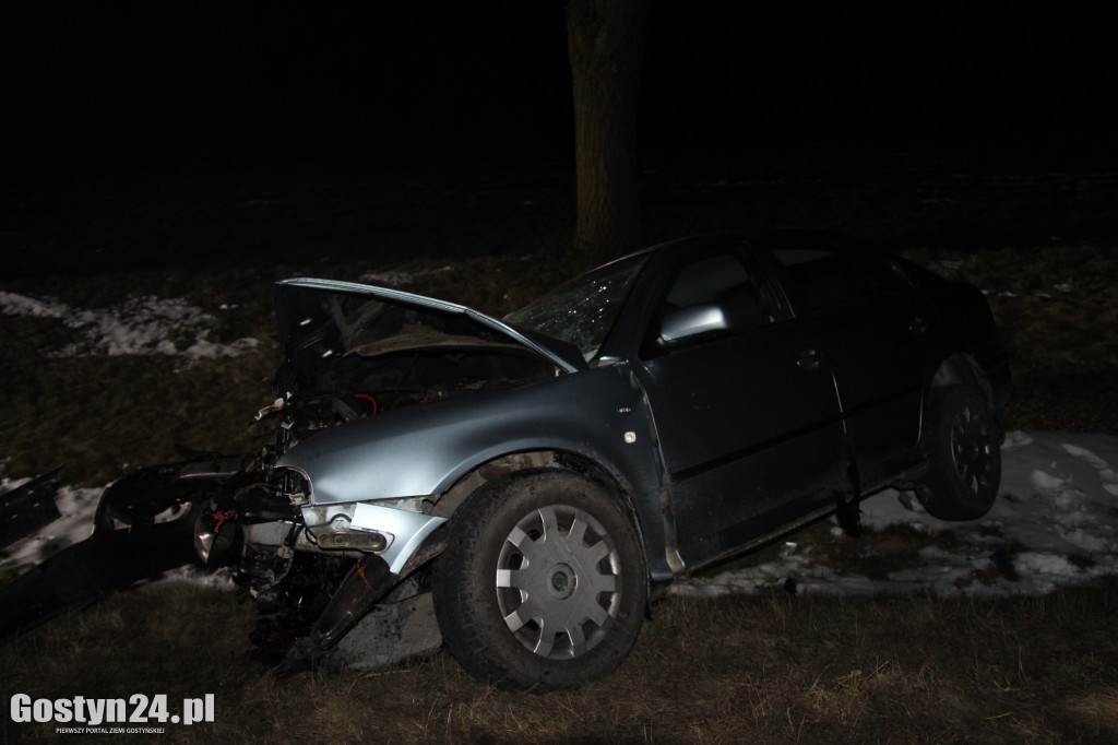 Wypadek na drodze wojewódzkiej 434