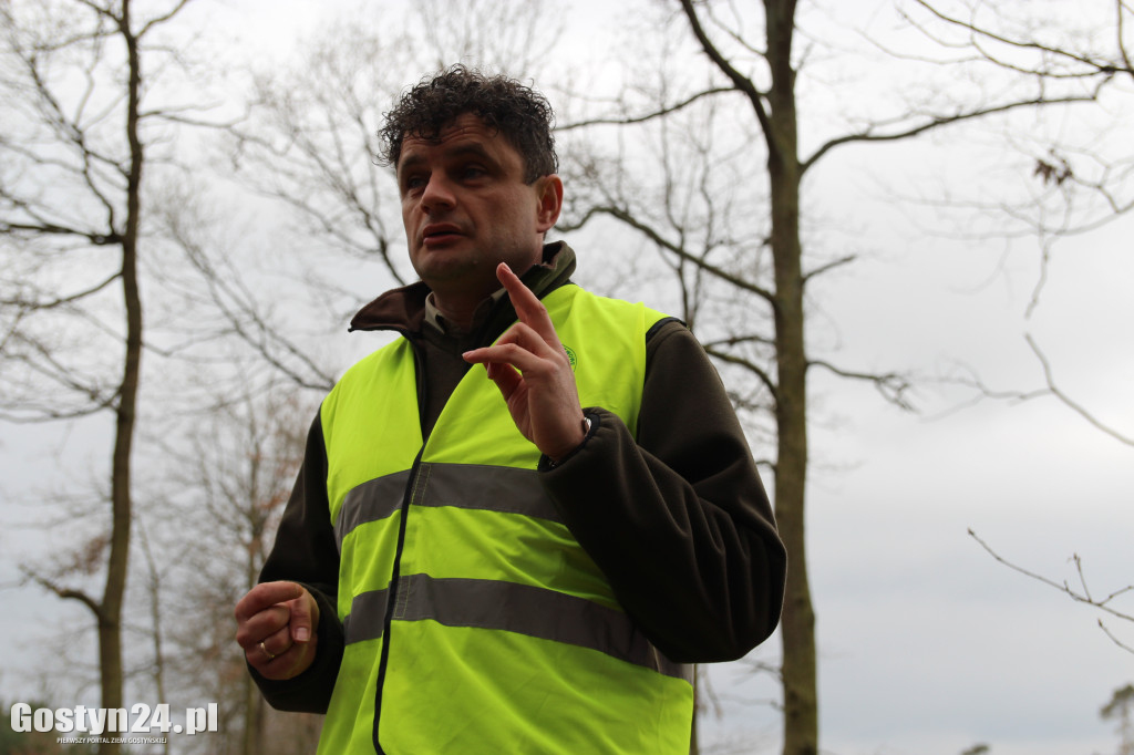 Sadzenie drzewek w leśnictwie Kosowo