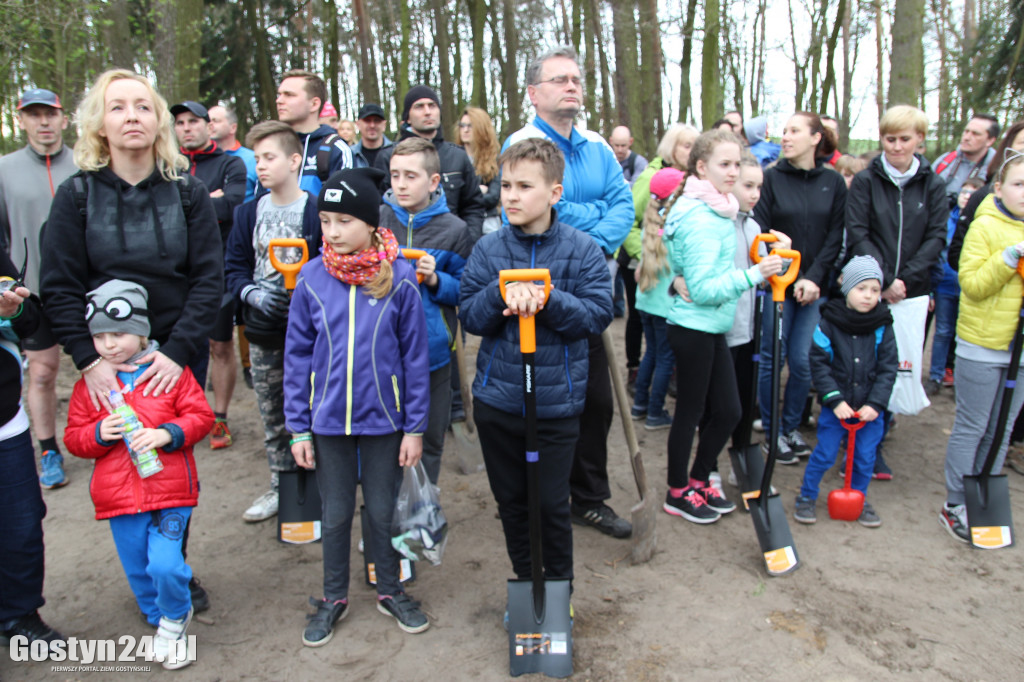 Sadzenie drzewek w leśnictwie Kosowo