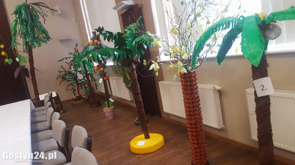 Rozstrzygnięcie konkursu na Egzotyczne Drzewo Owocowe