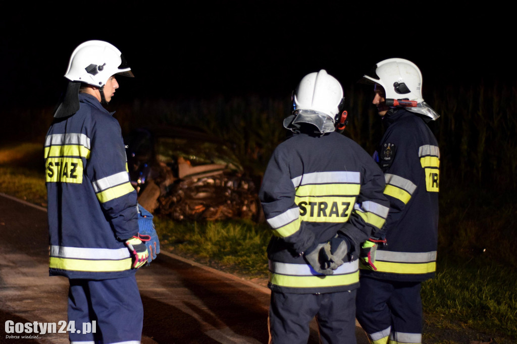 Pijany 19-latek spowodował wypadek
