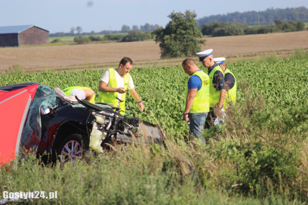 Tragiczny wypadek na prostej drodze