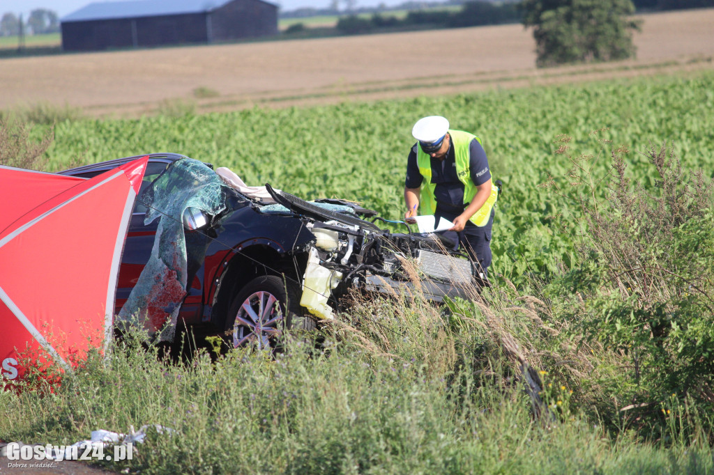 Tragiczny wypadek na prostej drodze