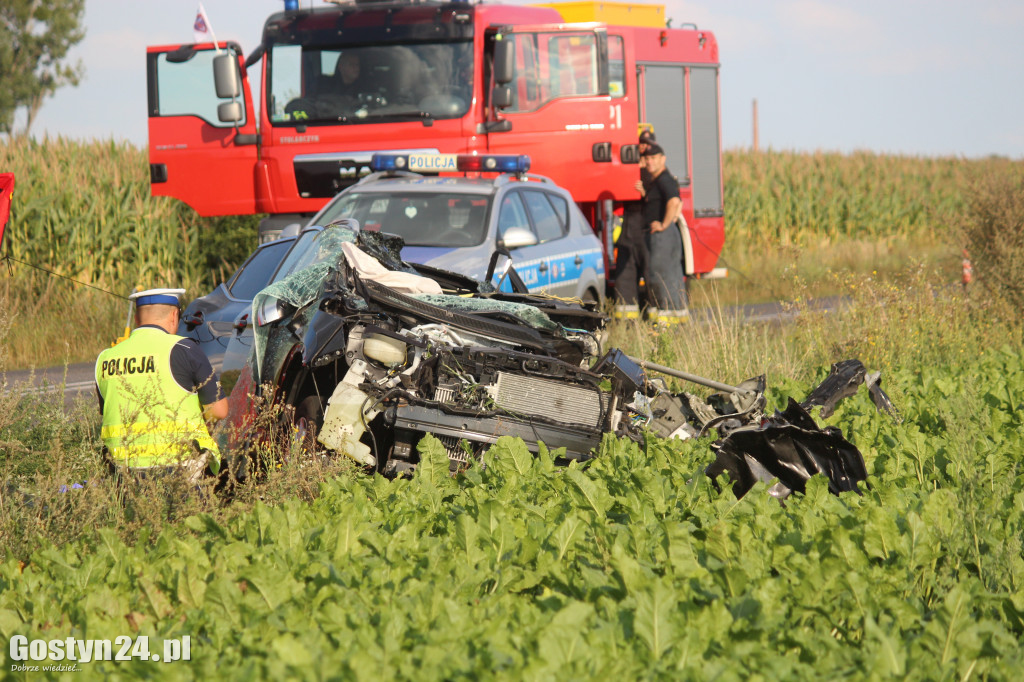 Tragiczny wypadek na prostej drodze