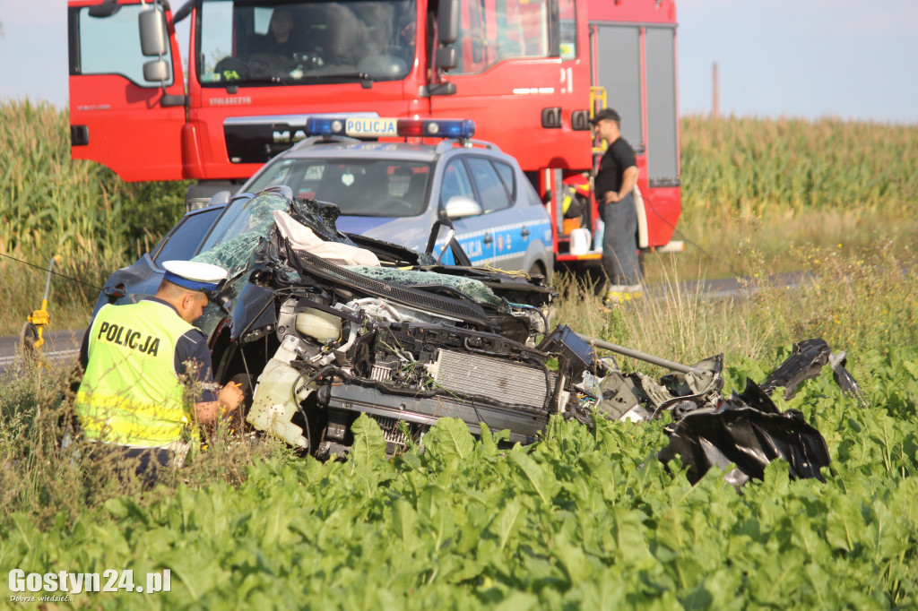 Tragiczny wypadek na prostej drodze