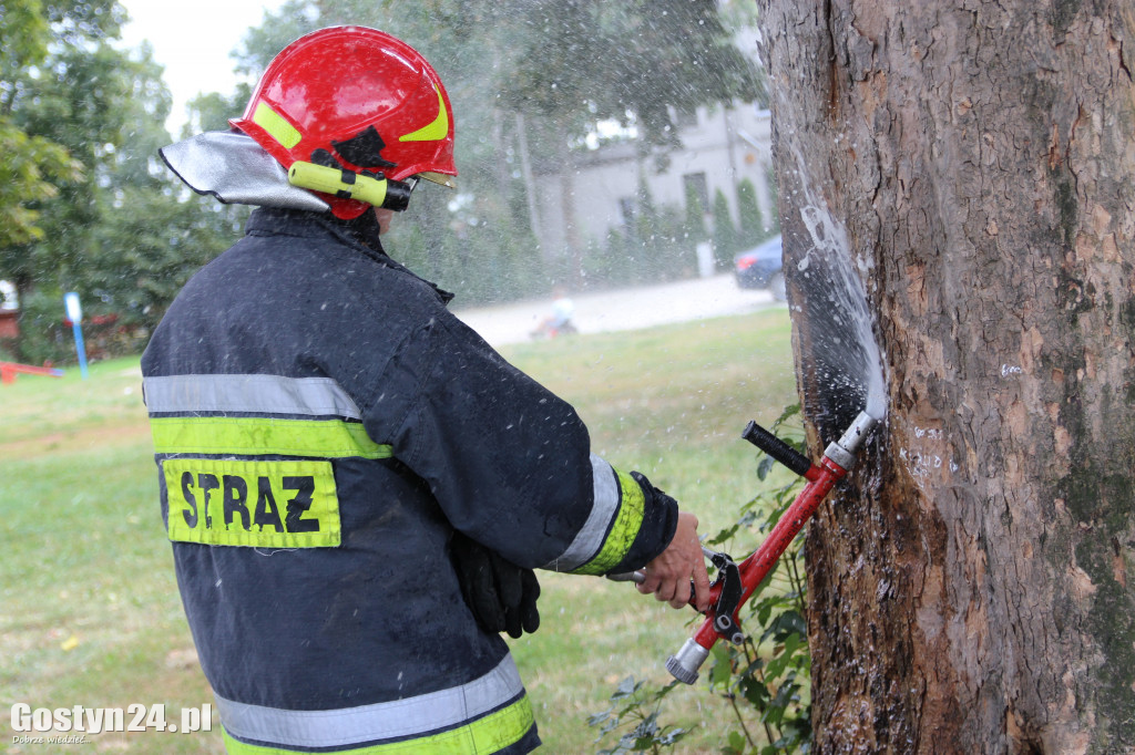 Pożar drzewa za gostyńską Farą