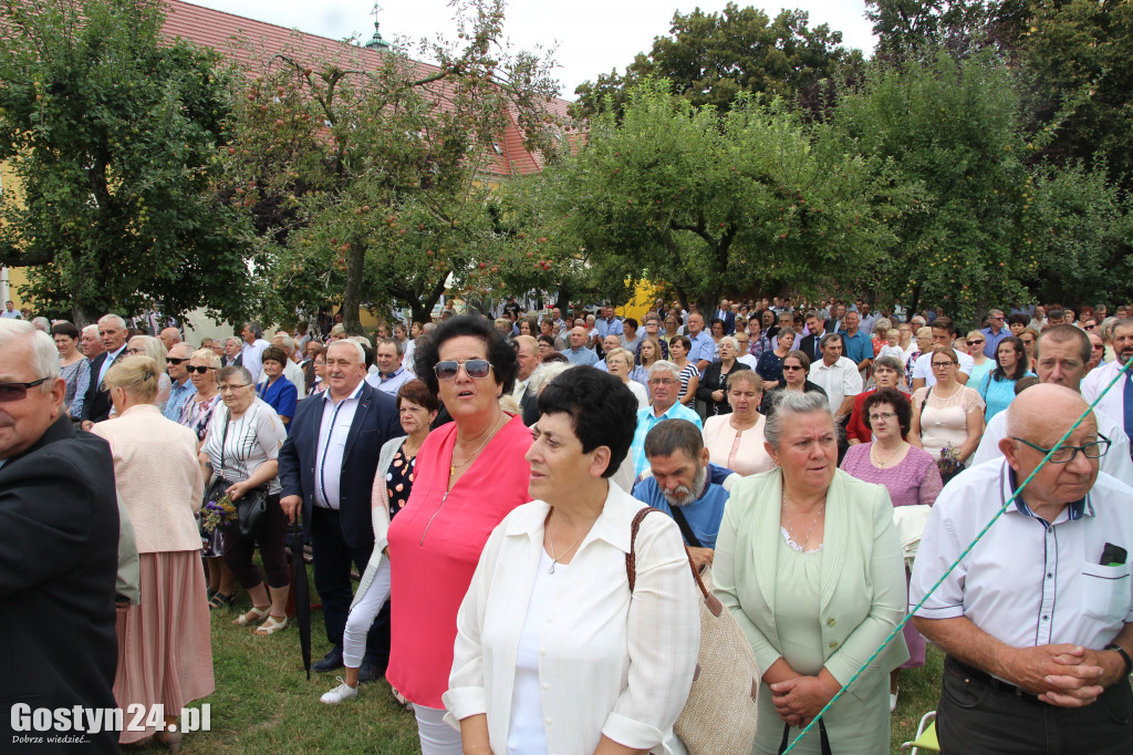Dożynki powiatowe - Święta Góra 2018