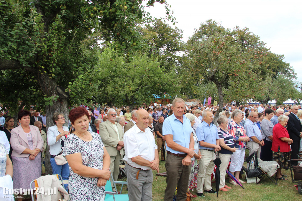 Dożynki powiatowe - Święta Góra 2018