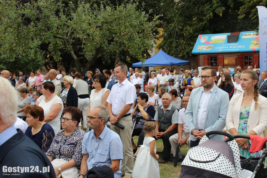 Dożynki powiatowe - Święta Góra 2018