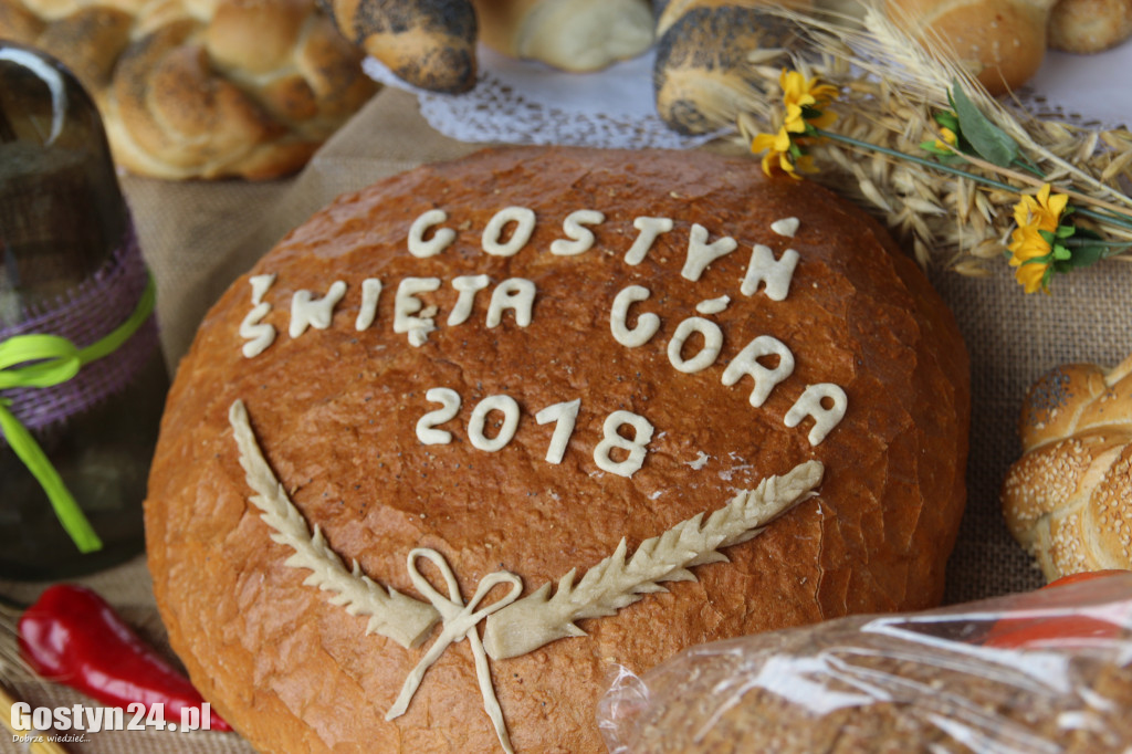 Dożynki powiatowe - Święta Góra 2018