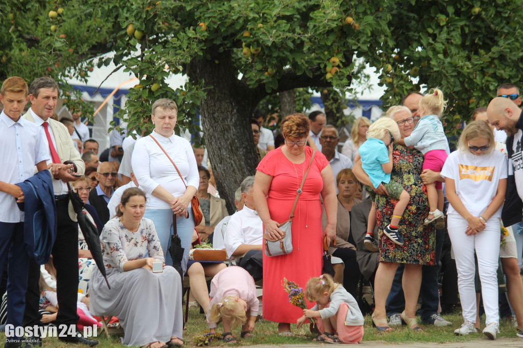 Dożynki powiatowe - Święta Góra 2018