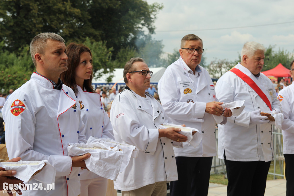 Dożynki powiatowe - Święta Góra 2018