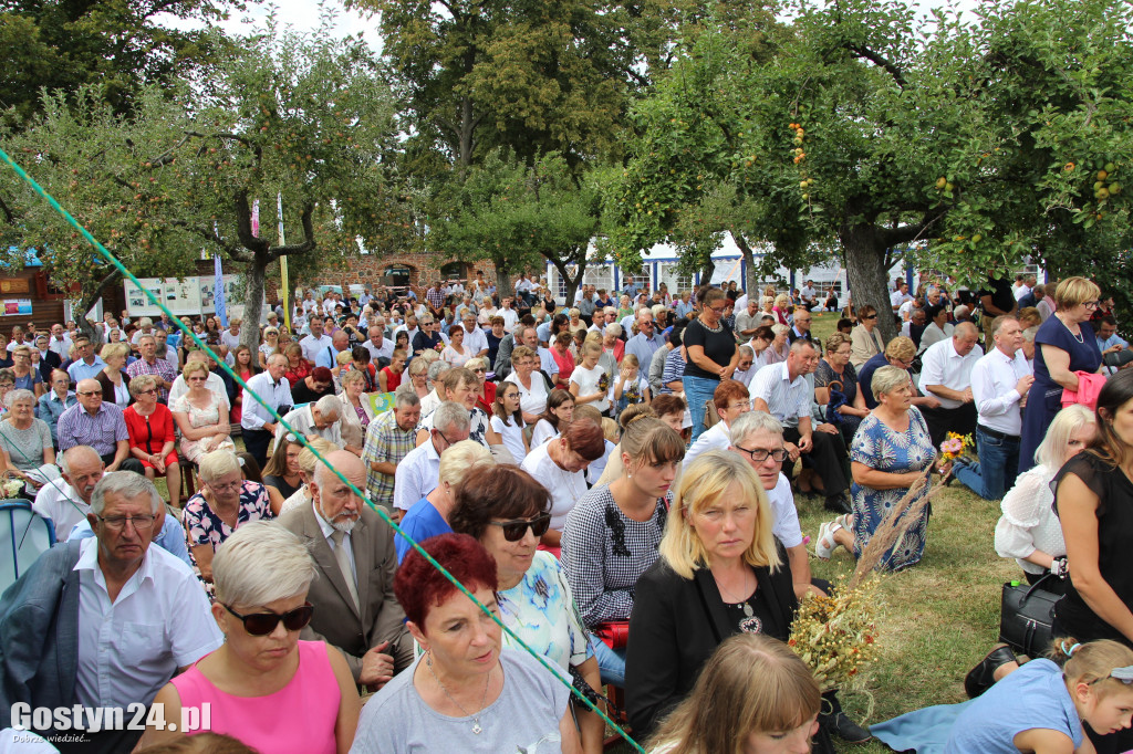 Dożynki powiatowe - Święta Góra 2018