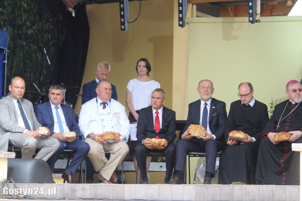 Dożynki powiatowe - Święta Góra 2018