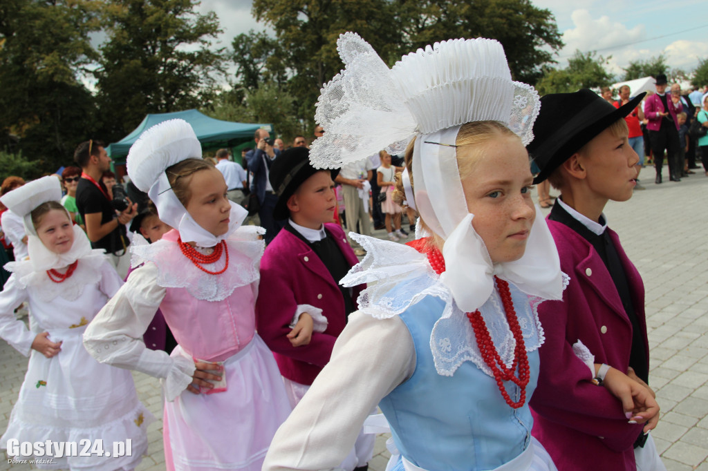 Dożynki powiatowe - Święta Góra 2018
