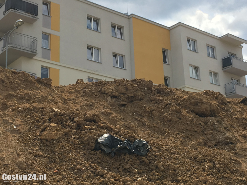 Śmieci na gostyńskim osiedlu