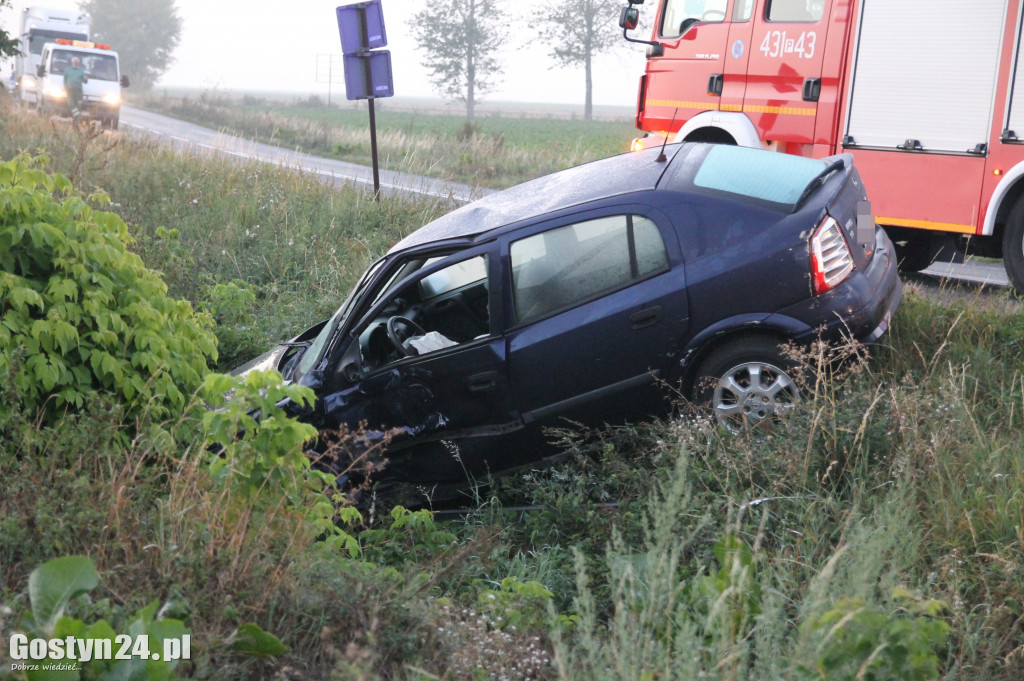 Wypadek na drodze powiatowej w Lipiu