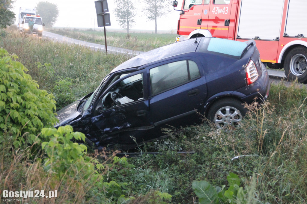 Wypadek na drodze powiatowej w Lipiu