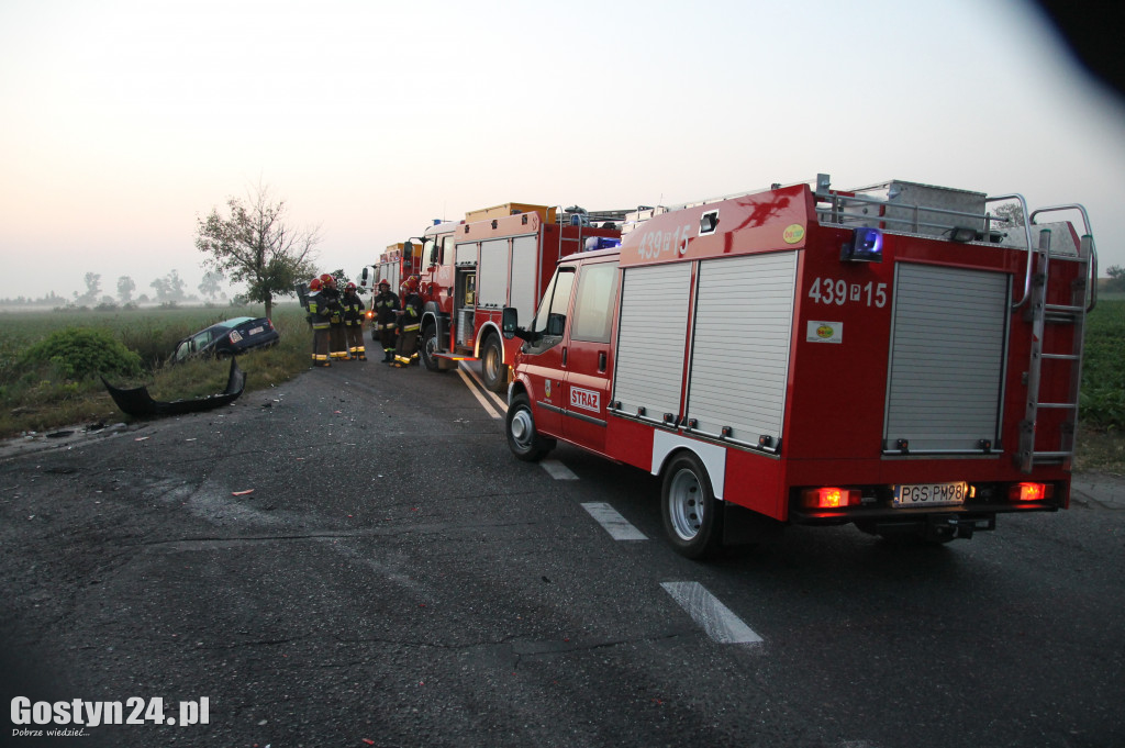 Wypadek na drodze powiatowej w Lipiu