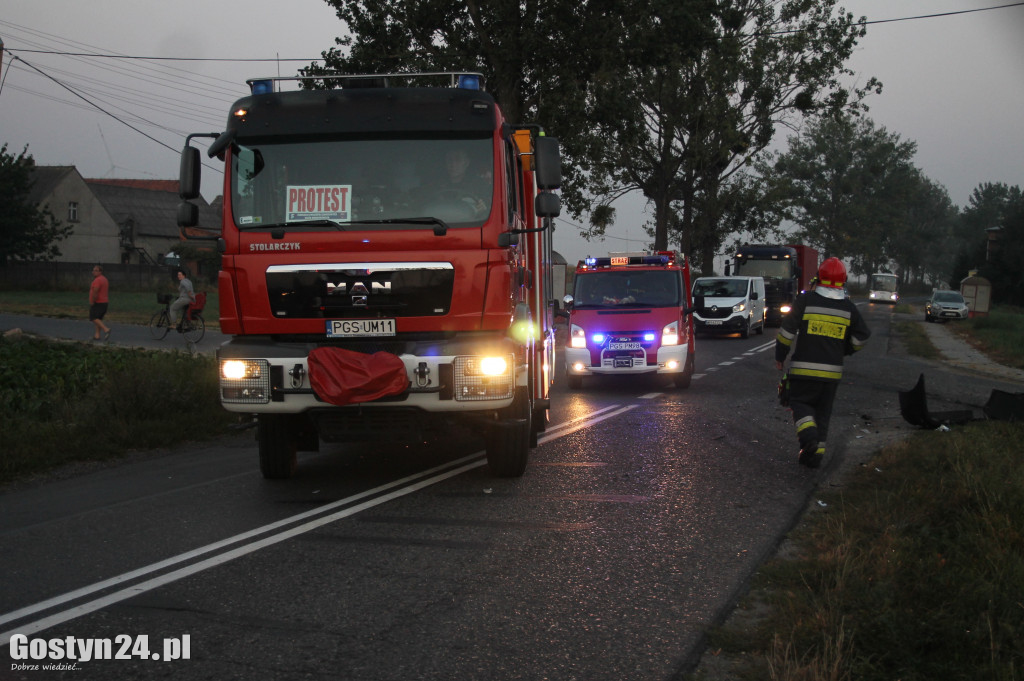 Wypadek na drodze powiatowej w Lipiu