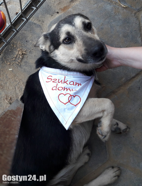 Marzyła o jednym, teraz ma ich dużo...
