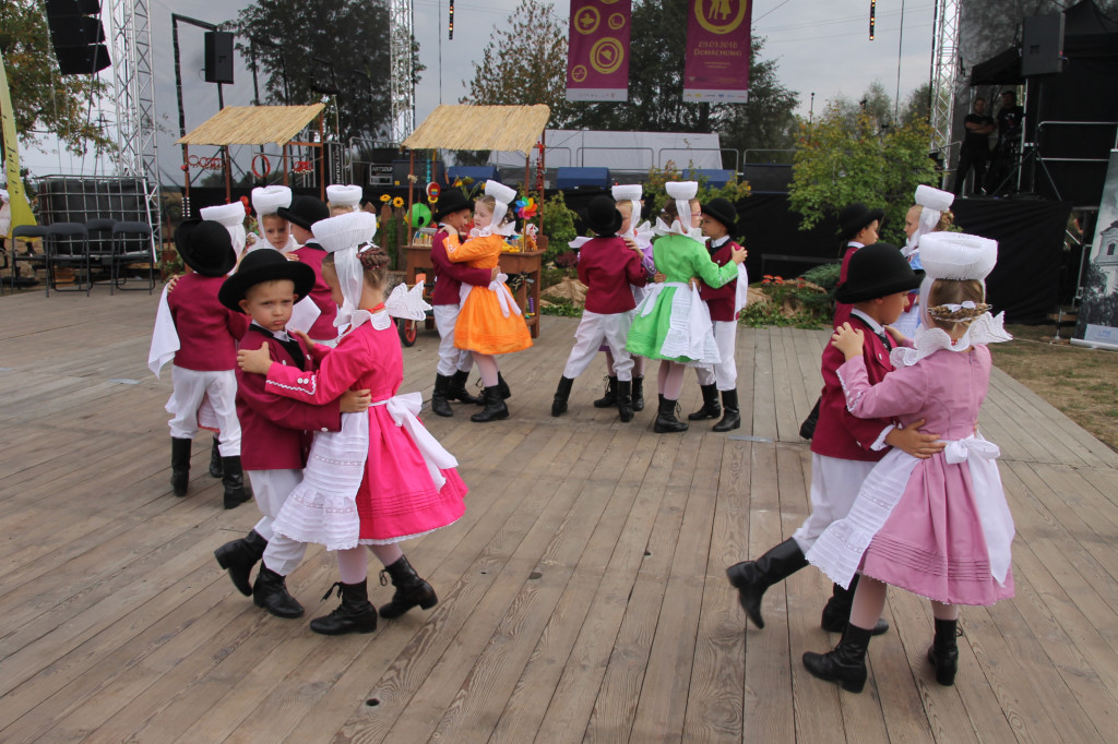 VIII Festiwal Tradycji i Folkloru w Domachowie
