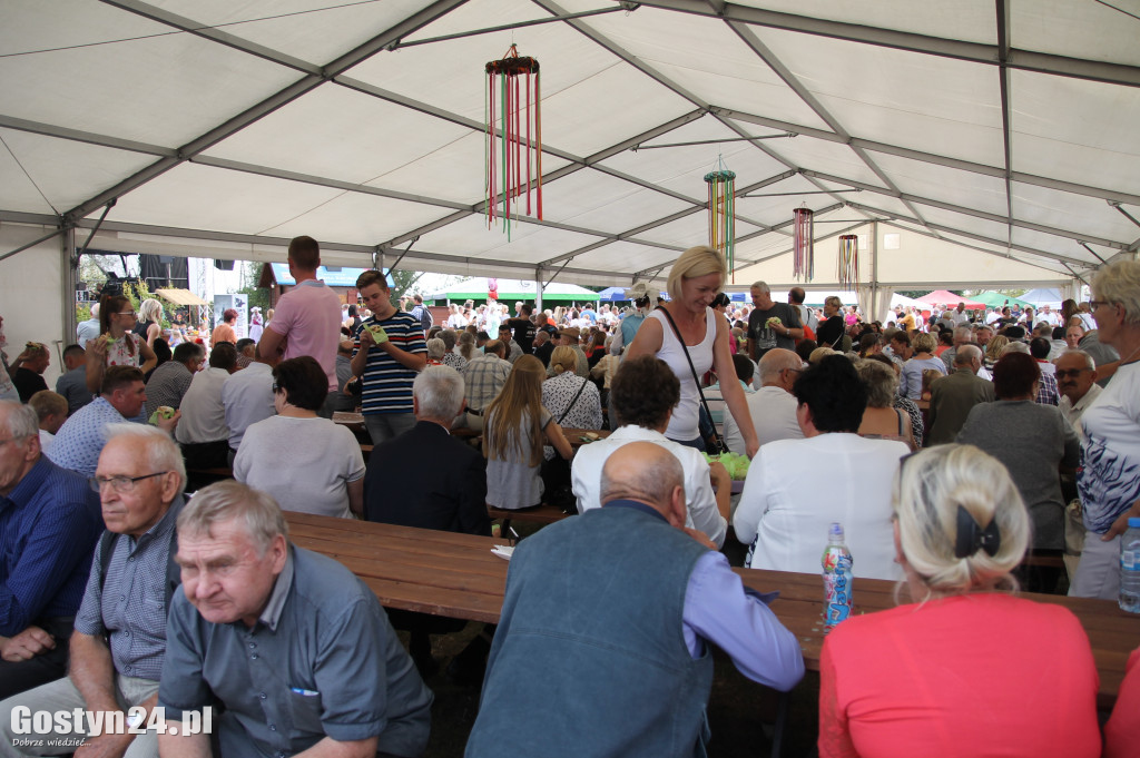 VIII Festiwal Tradycji i Folkloru w Domachowie