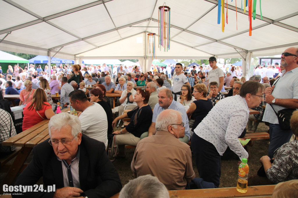 VIII Festiwal Tradycji i Folkloru w Domachowie