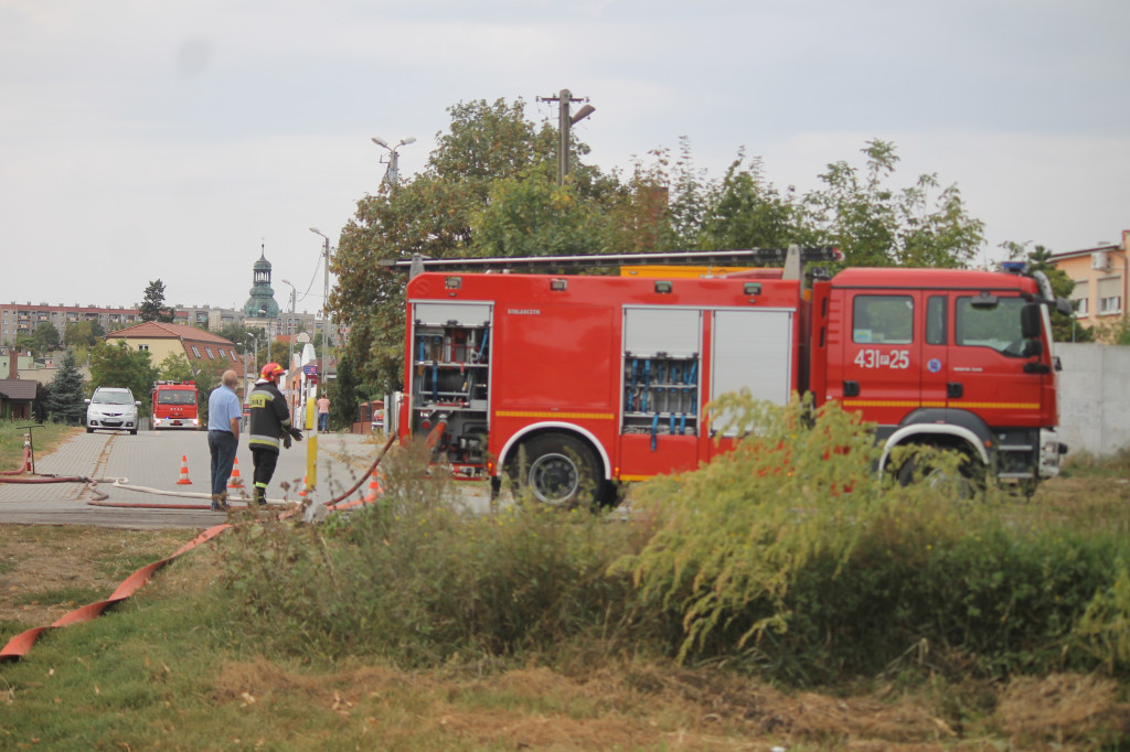 Pożar trawy za Górą Zamkową