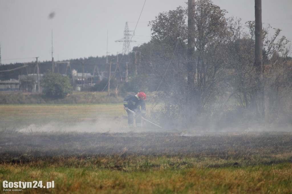 Pożar trawy za Górą Zamkową