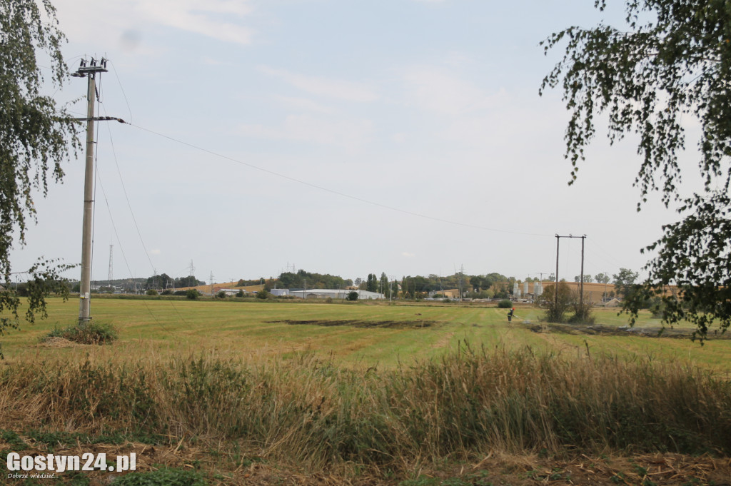 Pożar trawy za Górą Zamkową