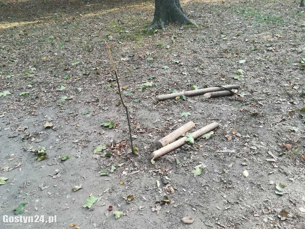 Wandale znów dali o sobie znać w Krobi
