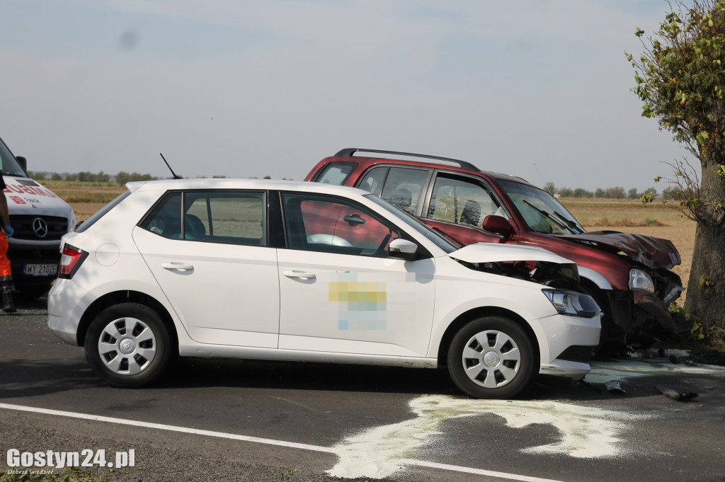 Wypadek na trasie Krobia-Pudliszki