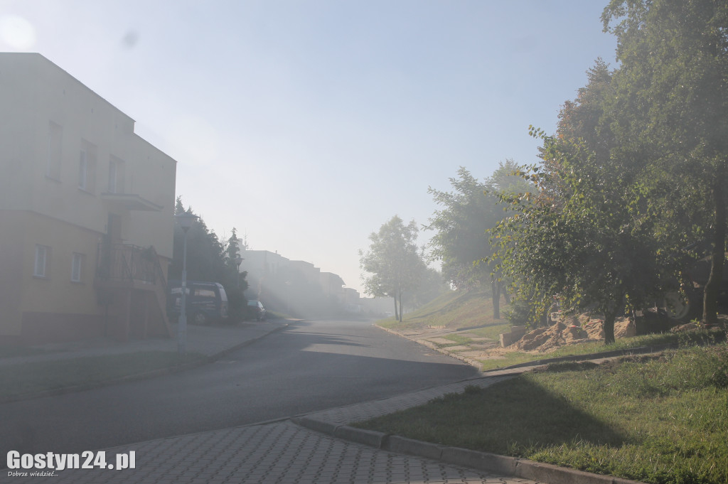 Akcja strażaków przy ul. Mikołajczyka