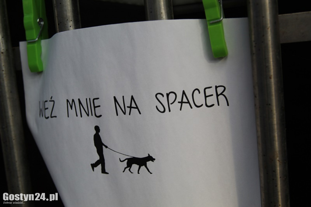 Drzwi otwarte w schronisku w Dalabuszkach
