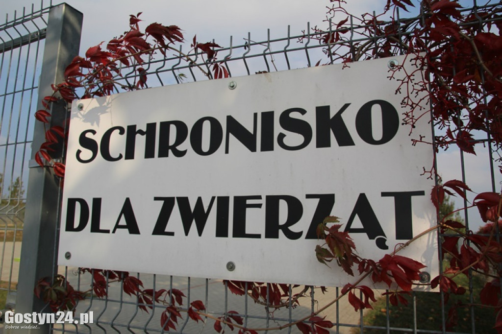 Drzwi otwarte w schronisku w Dalabuszkach