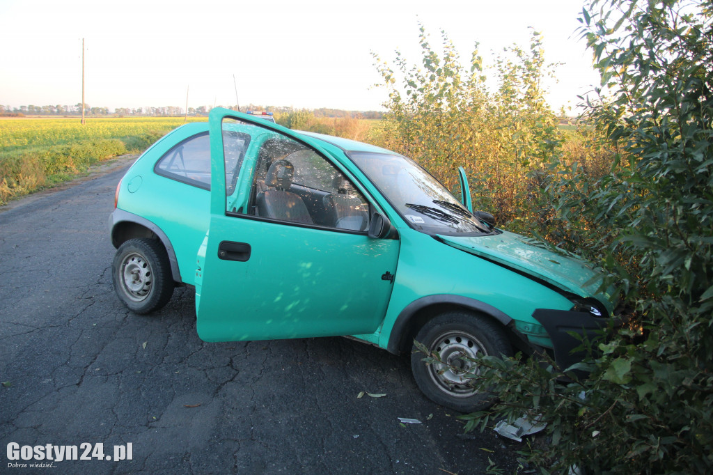 Wypadek na trasie Strzelce Wielkie-Strzelce Małe