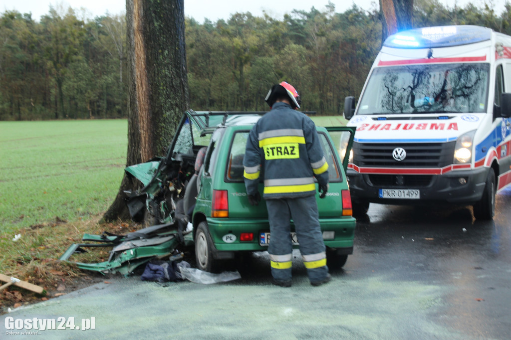 Wypadek na trasie Skoraszewice - Wilkonice