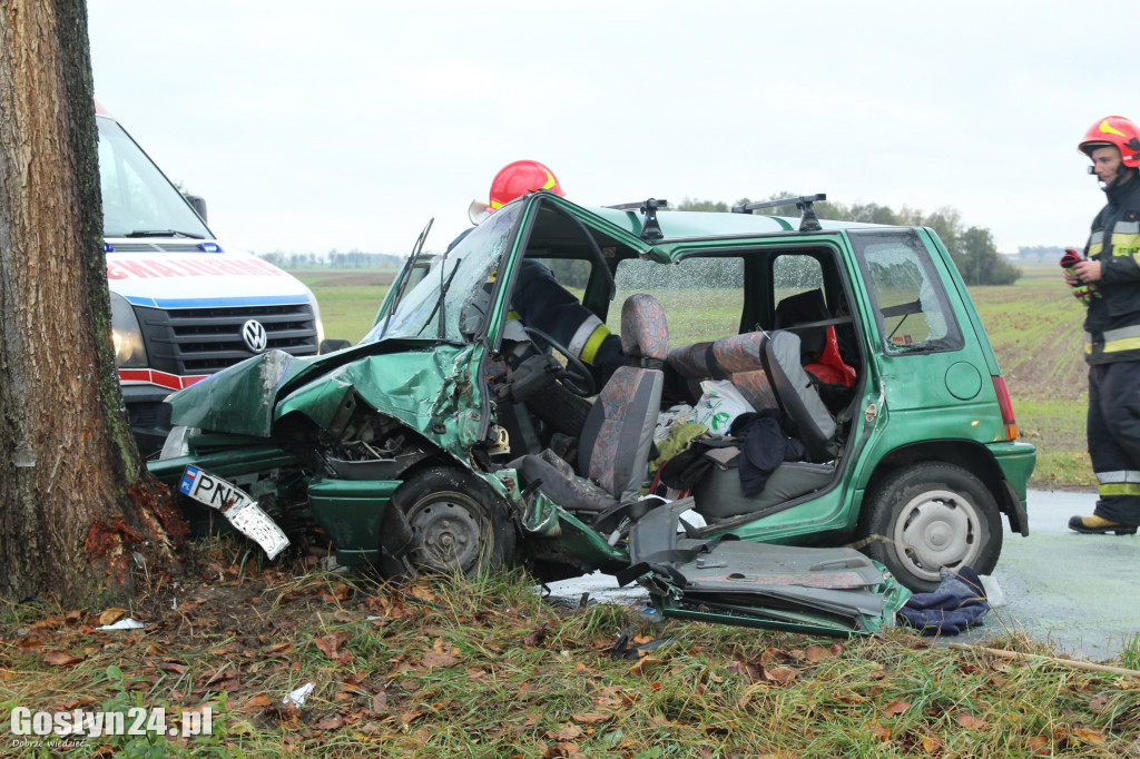 Wypadek na trasie Skoraszewice - Wilkonice