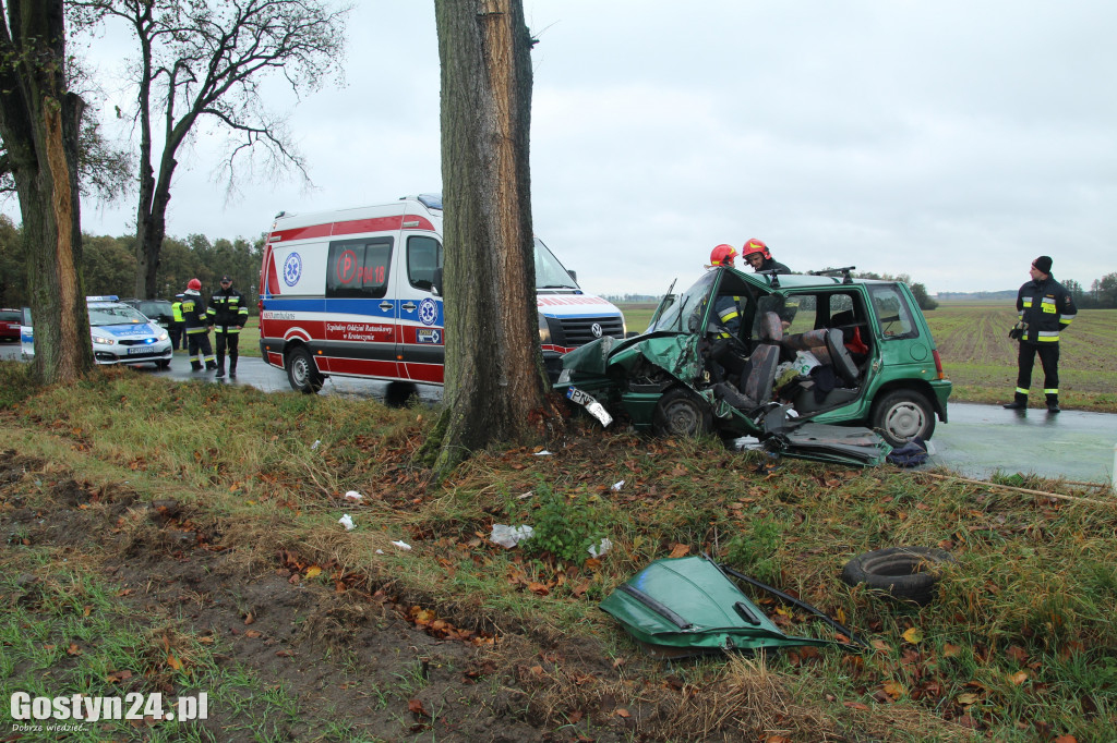 Wypadek na trasie Skoraszewice - Wilkonice