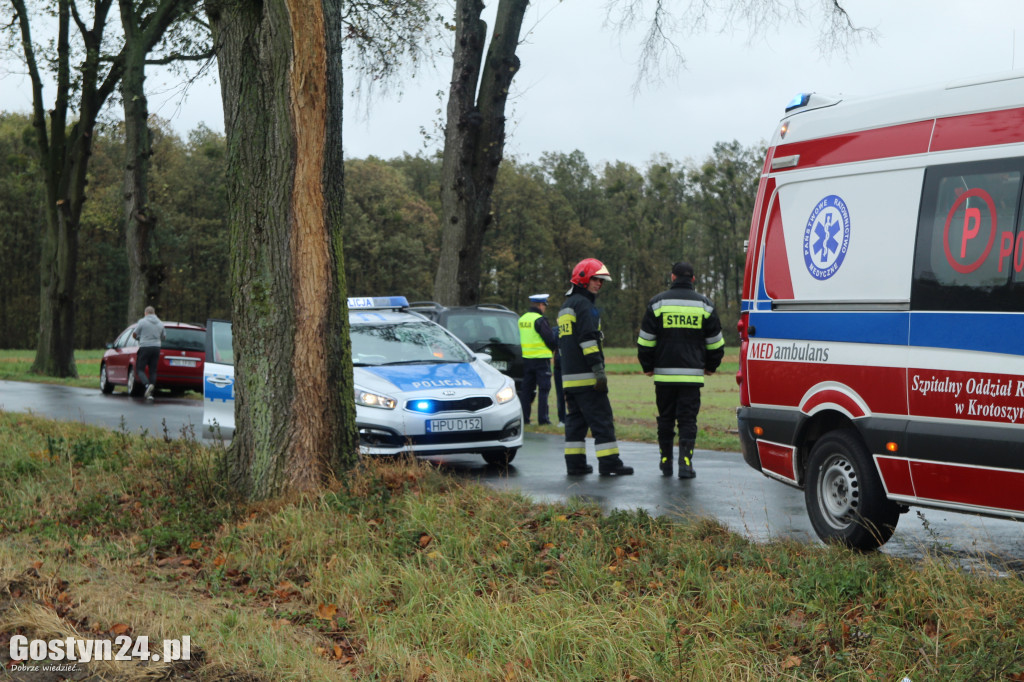 Wypadek na trasie Skoraszewice - Wilkonice