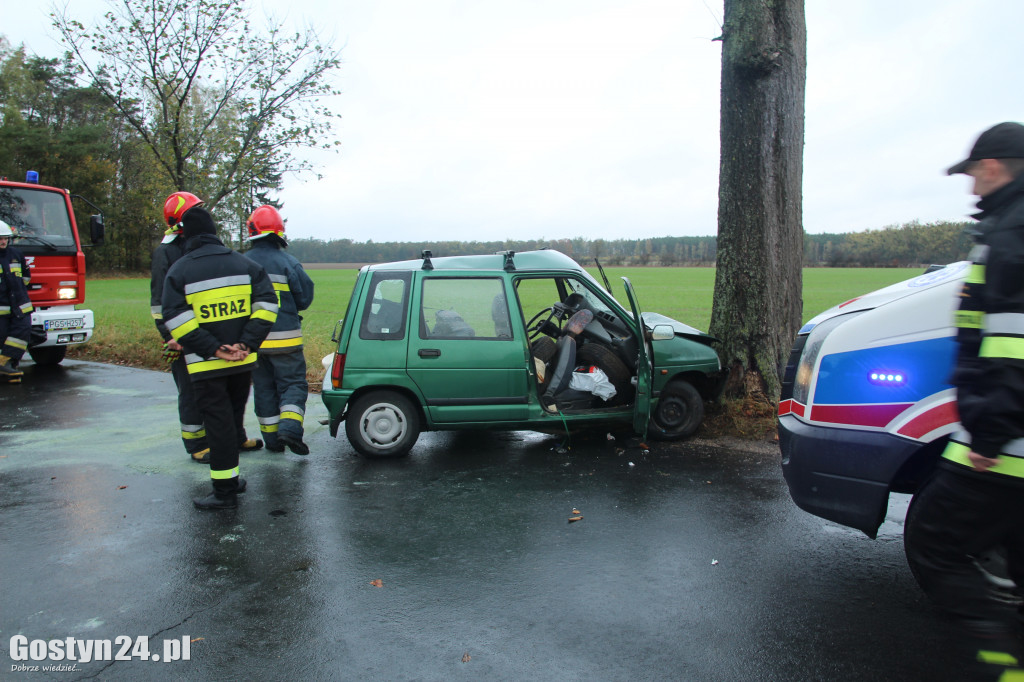 Wypadek na trasie Skoraszewice - Wilkonice