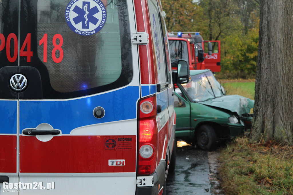 Wypadek na trasie Skoraszewice - Wilkonice