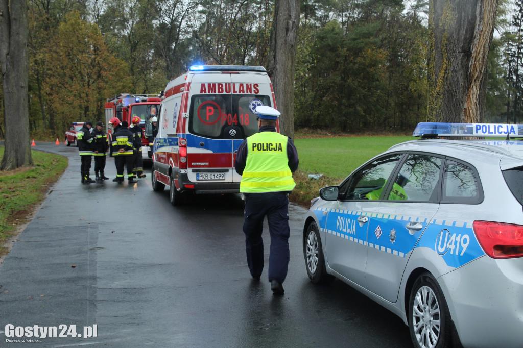 Wypadek na trasie Skoraszewice - Wilkonice