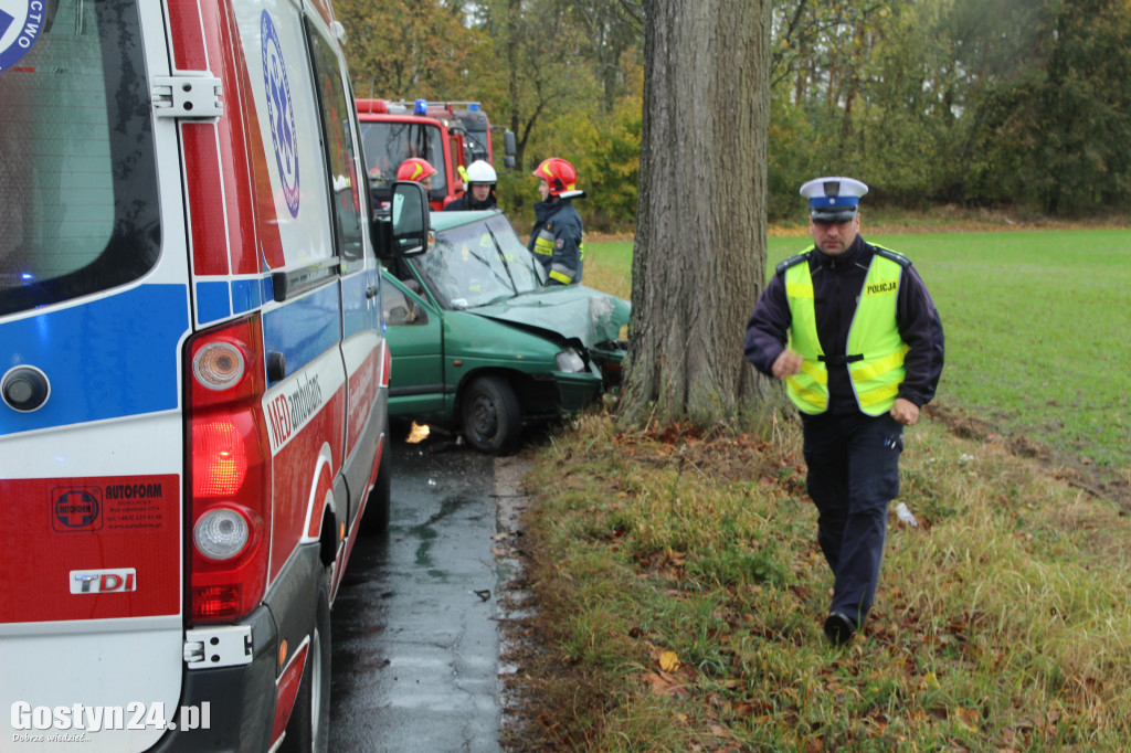 Wypadek na trasie Skoraszewice - Wilkonice